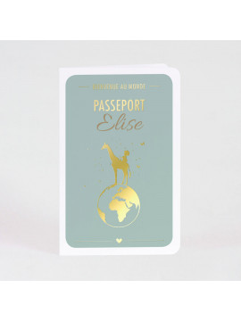 Carte naissance passeport