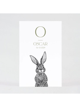 Faire part naissance joli lapin