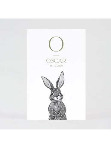 Faire part naissance joli lapin