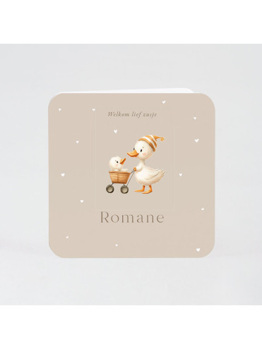 Faire-part naissance canard avec poussette