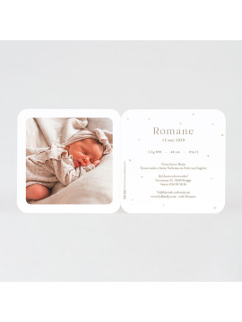 Faire-part naissance canard avec poussette
