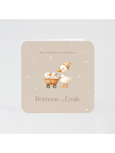 Faire-part naissance canard pour jumeaux