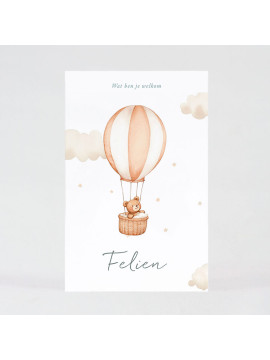Faire-part naissance petit ours dans sa montgolfière