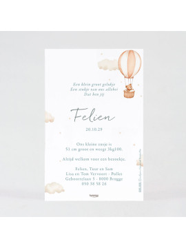 Faire-part naissance petit ours dans sa montgolfière