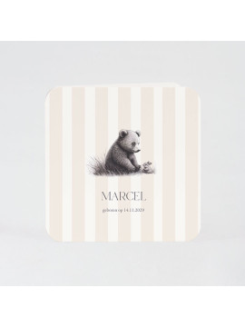 Faire-part naissance ourson et petit lapin
