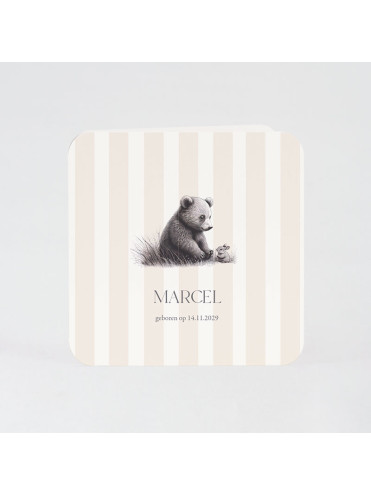Faire-part naissance ourson et petit lapin