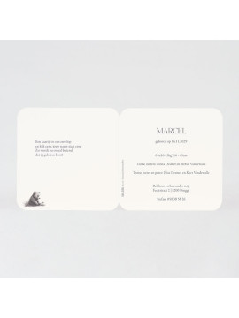 Faire-part naissance ourson et petit lapin