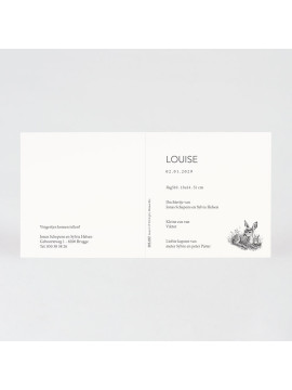 Faire-part naissance faon sur fond rayé