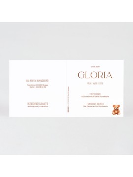 Faire-part naissance petit nounours