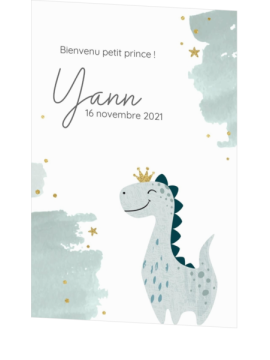 Faire-part de naissance Yann – Dino royal
