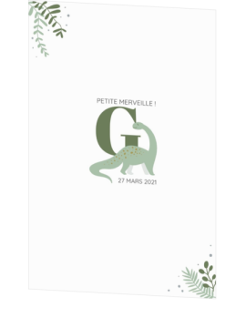 Faire-part de naissance – Dino