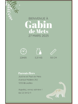 Faire-part de naissance – Dino