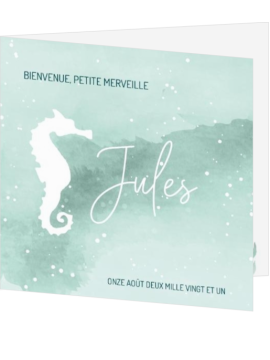 Carte de naissance hippocampe menthe – Jules