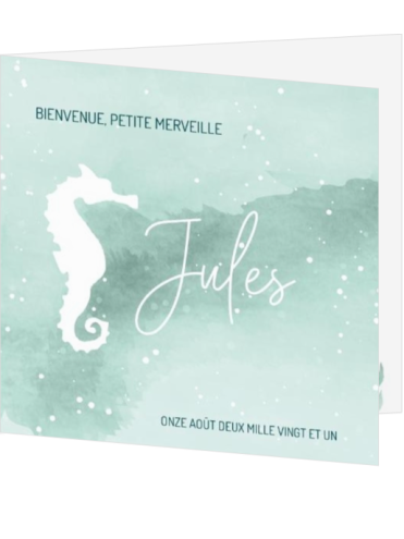 Carte de naissance hippocampe menthe – Jules
