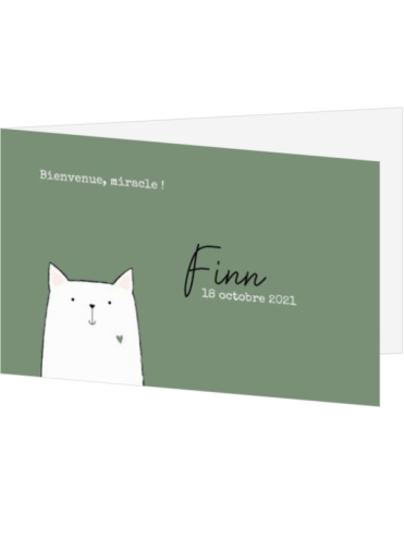 Faire-part naissance chat – Finn