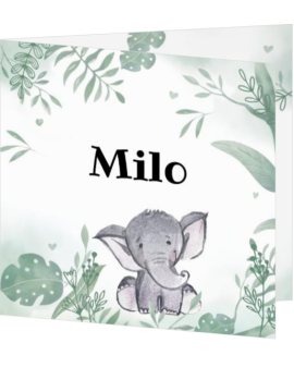 Éléphant botanique – Faire-part de naissance