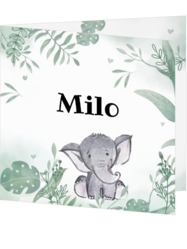 Éléphant botanique – Faire-part de naissance