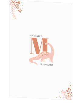 Faire-part de naissance Mila-Mae – Thème Dino
